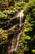 waterfall.gif